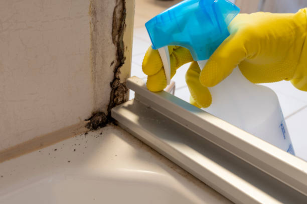 Best Mold Cleaning Services  in Greenbriar, VA