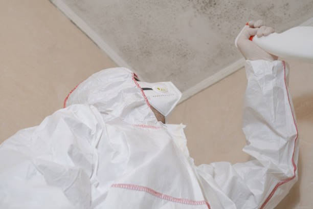 Best Certified Mold Removal  in Greenbriar, VA